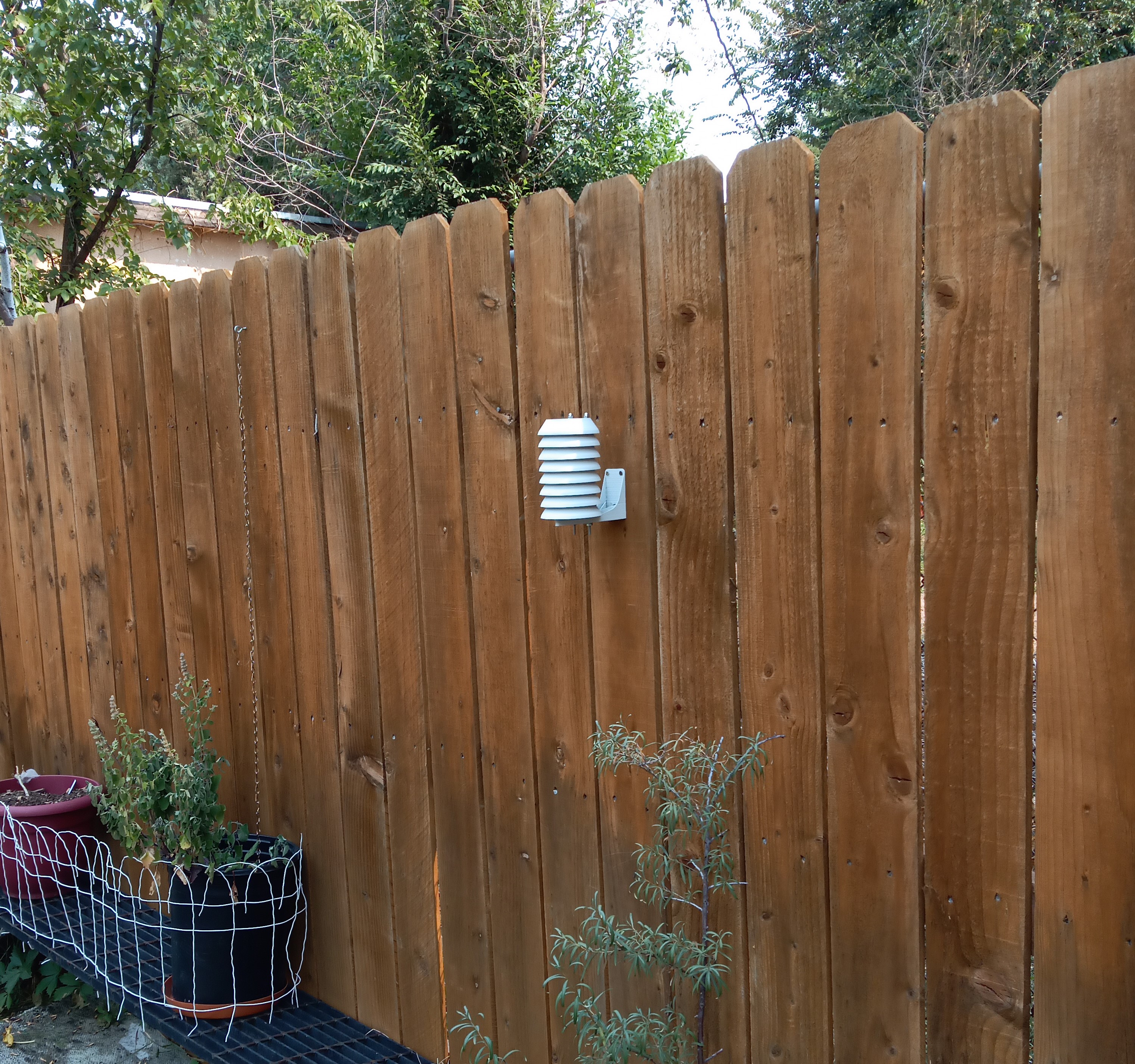 enclosure mounted to janky backyard fence